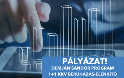 Demján Sándor Program